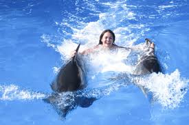 dolphin oic