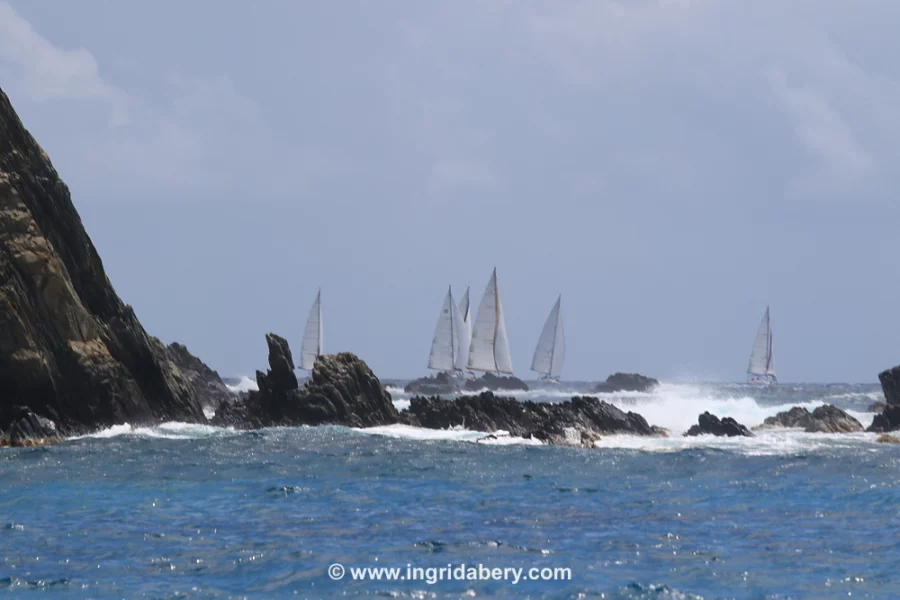 BVISR  2023. www.ingridabery.com Copyright Ingrid Abery 2023.